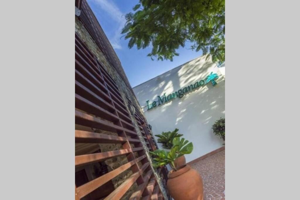Appartement Joli Manga Soley Saint-Francois (Grande-Terre)